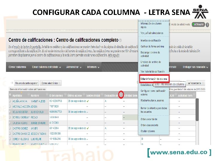 CONFIGURAR CADA COLUMNA - LETRA SENA 