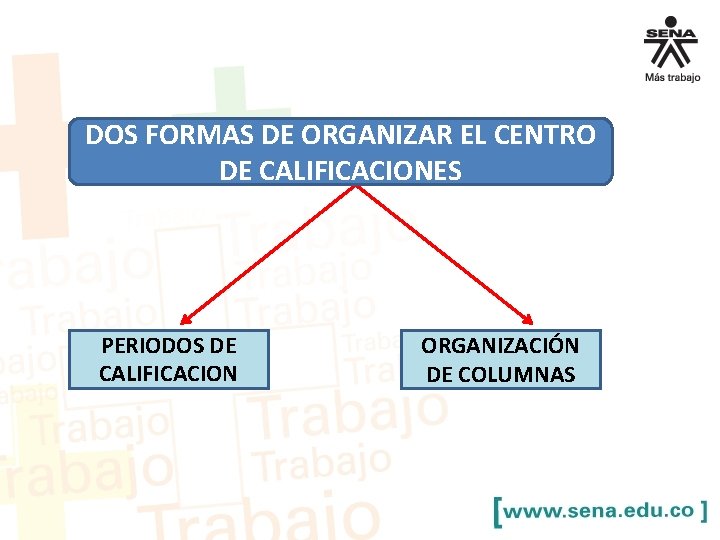 DOS FORMAS DE ORGANIZAR EL CENTRO DE CALIFICACIONES PERIODOS DE CALIFICACION ORGANIZACIÓN DE COLUMNAS