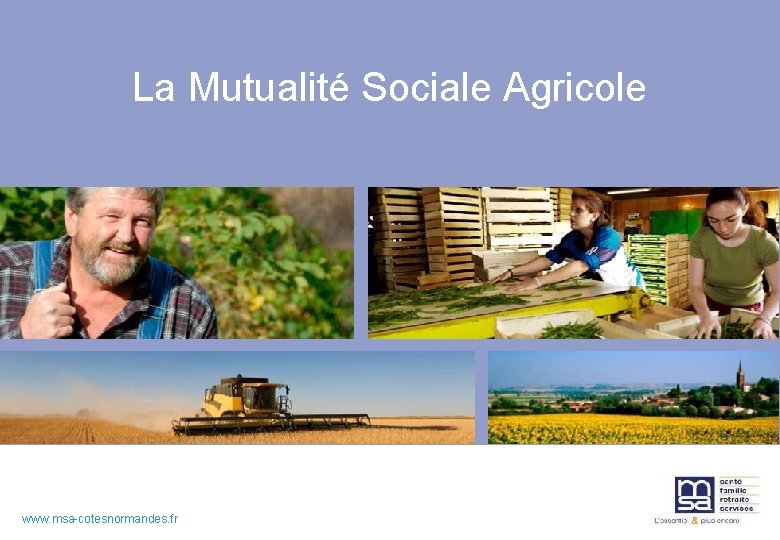 La Mutualité Sociale Agricole www. msa-cotesnormandes. fr www. msa-mayenne-orne-sarthe. fr La Mutualité Sociale Agricole www. msa-cotesnormandes. fr www. msa-mayenne-orne-sarthe. fr