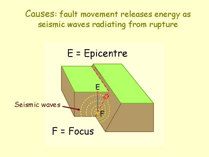 Causes: fault movement releases energy as seismic waves radiating from rupture Seismic waves 