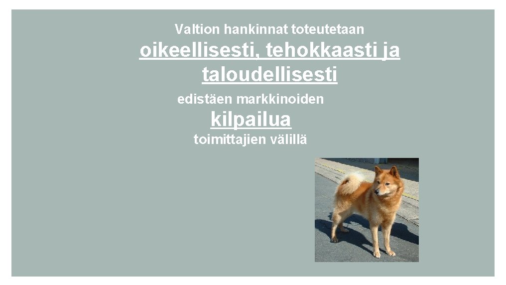 Valtion hankinnat toteutetaan oikeellisesti, tehokkaasti ja taloudellisesti edistäen markkinoiden kilpailua toimittajien välillä 