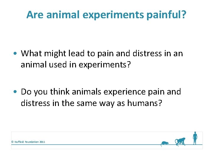 Are animal experiments painful What might lead to