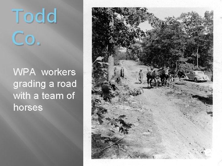 Todd Co. WPA workers grading a road with a team of horses 
