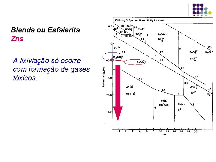 Blenda ou Esfalerita Zns A lixiviação só ocorre com formação de gases tóxicos. 