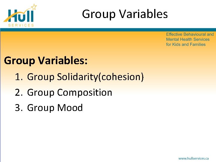 Group Variables: 1. Group Solidarity(cohesion) 2. Group Composition 3. Group Mood 