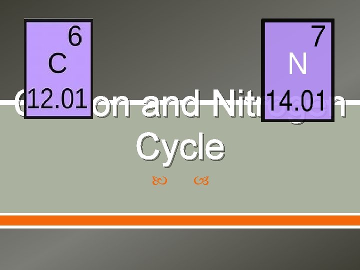 Carbon and Nitrogen Cycle 