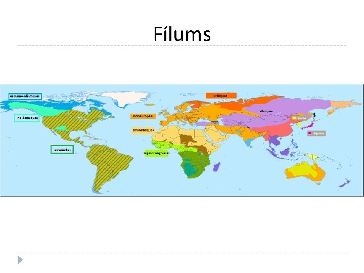 Fílums 