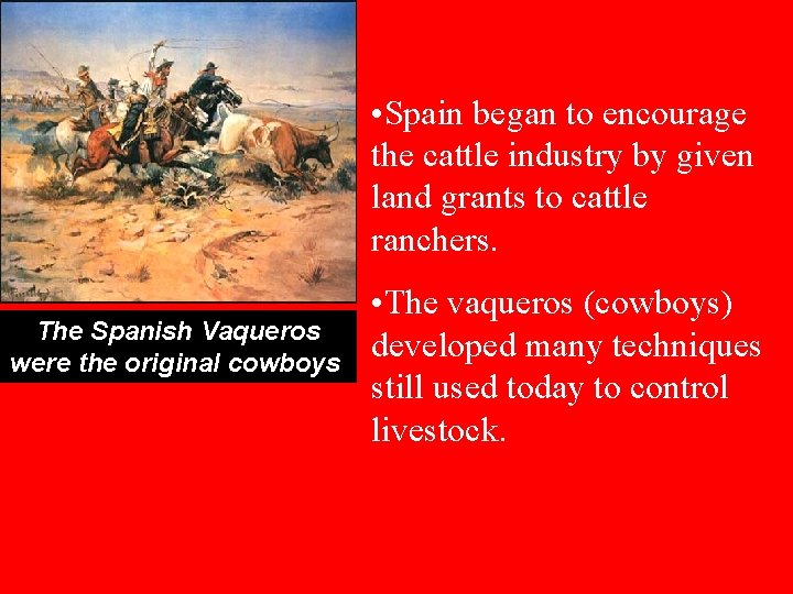  • Spain began to encourage the cattle industry by given land grants to