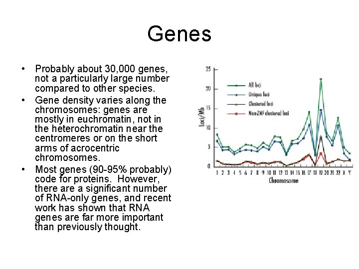 Genes • Probably about 30, 000 genes, not a particularly large number compared to