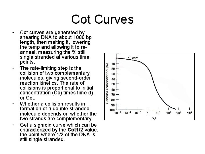 Cot Curves • • Cot curves are generated by shearing DNA to about 1000