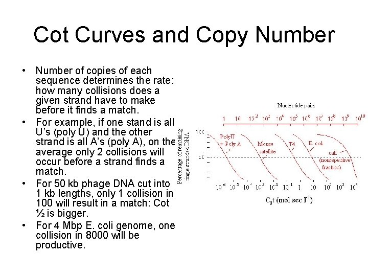 Cot Curves and Copy Number • Number of copies of each sequence determines the