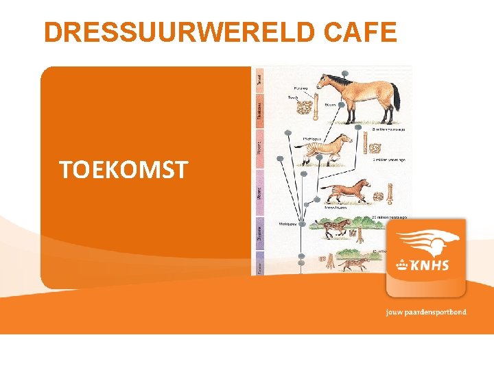 DRESSUURWERELD CAFE TOEKOMST pag. 