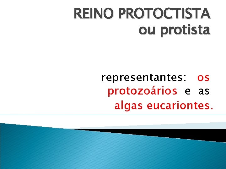 REINO PROTOCTISTA ou protista representantes: os protozoários e as algas eucariontes. 