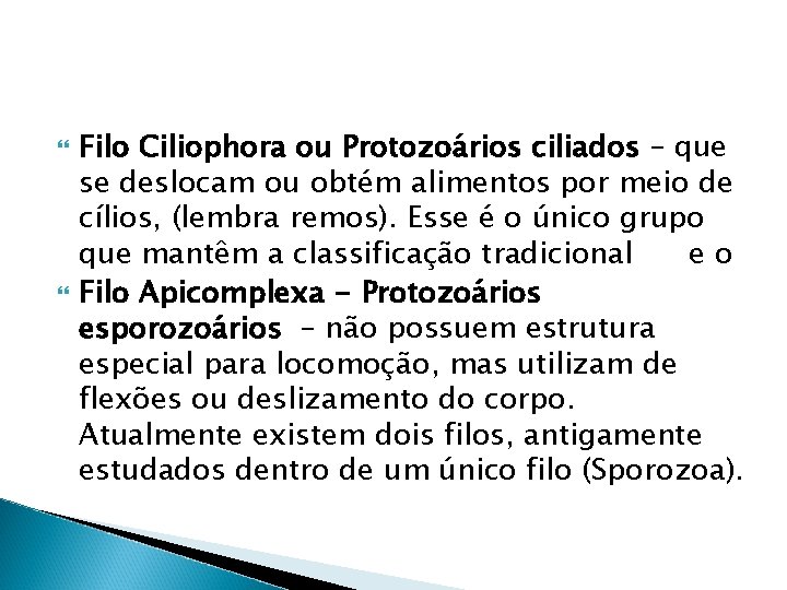  Filo Ciliophora ou Protozoários ciliados – que se deslocam ou obtém alimentos por