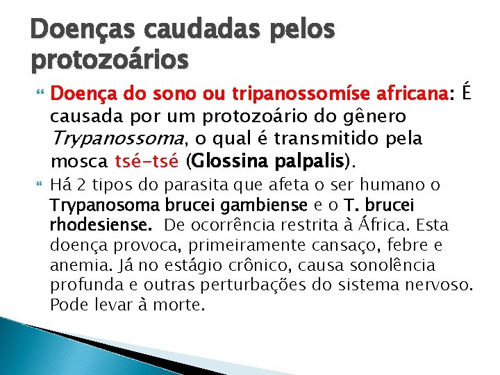 Doenças caudadas pelos protozoários Doença do sono ou tripanossomíse africana: É causada por um