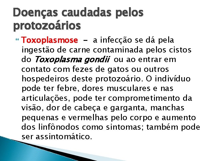 Doenças caudadas pelos protozoários Toxoplasmose - a infecção se dá pela ingestão de carne