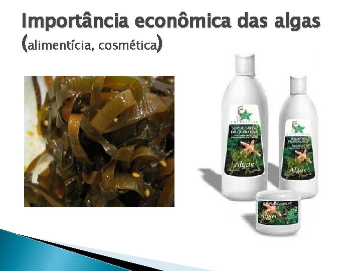 Importância econômica das algas (alimentícia, cosmética) 