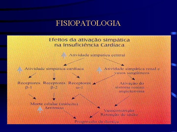 FISIOPATOLOGIA 