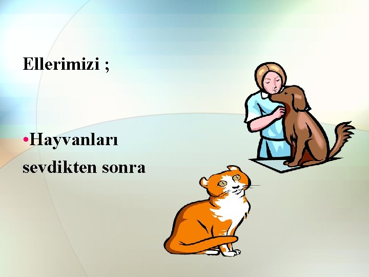 Ellerimizi ; • Hayvanları sevdikten sonra Ellerimizi ; • Hayvanları sevdikten sonra