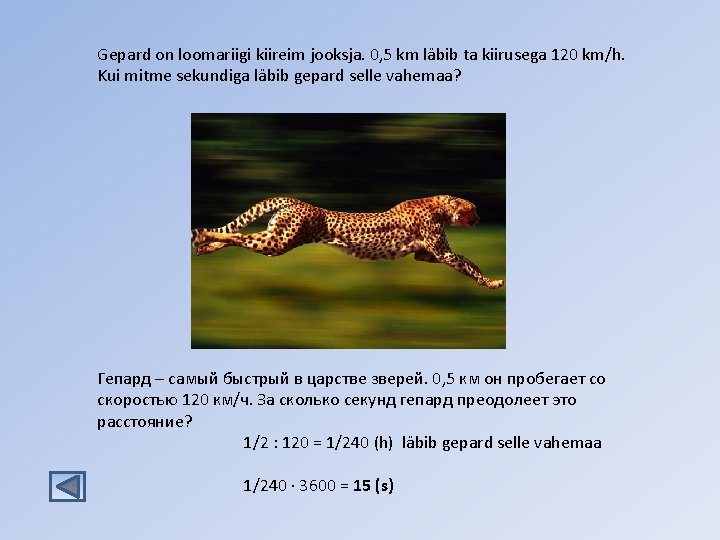 Gepard on loomariigi kiireim jooksja. 0, 5 km läbib ta kiirusega 120 km/h. Kui