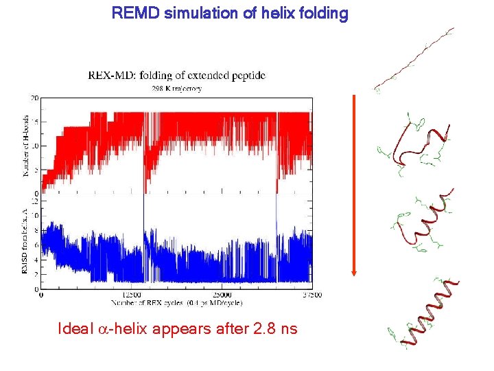 REMD simulation of helix folding Ideal a-helix appears after 2. 8 ns 