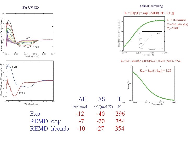 DH kcal/mol Exp REMD f/y REMD hbonds -12 -7 -10 DS cal/(mol K) -40