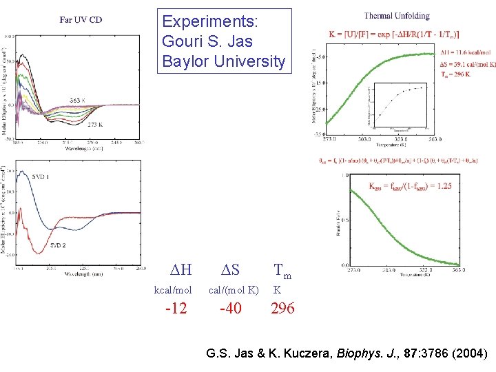 Experiments: Gouri S. Jas Baylor University DH kcal/mol -12 DS cal/(mol K) -40 Tm