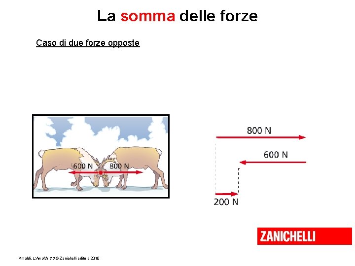 La somma delle forze Caso di due forze opposte Amaldi, L’Amaldi 2. 0 ©