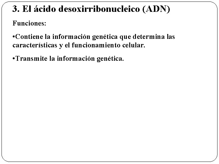 3. El ácido desoxirribonucleico (ADN) Funciones: • Contiene la información genética que determina las
