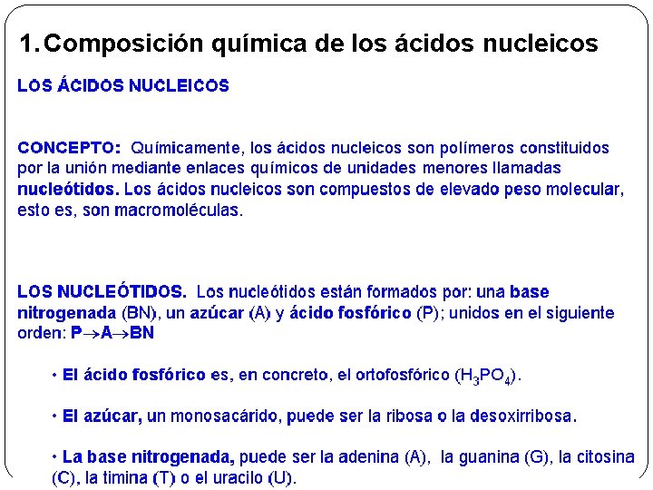 1. Composición química de los ácidos nucleicos 