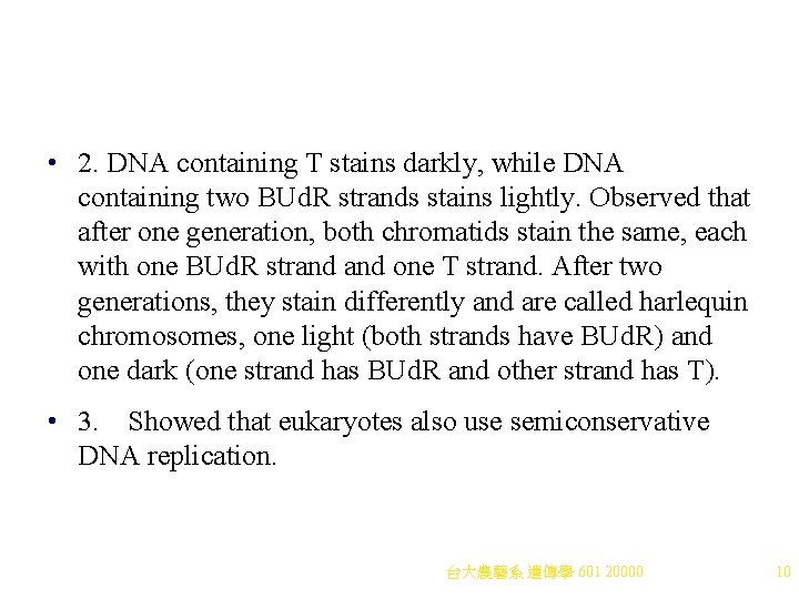 • 2. DNA containing T stains darkly, while DNA containing two BUd. R • 2. DNA containing T stains darkly, while DNA containing two BUd. R