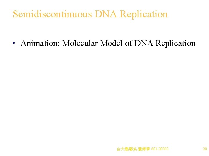 Semidiscontinuous DNA Replication • Animation: Molecular Model of DNA Replication 台大農藝系 遺傳學 601 20000 Semidiscontinuous DNA Replication • Animation: Molecular Model of DNA Replication 台大農藝系 遺傳學 601 20000
