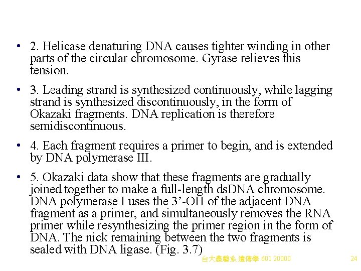 • 2. Helicase denaturing DNA causes tighter winding in other parts of the • 2. Helicase denaturing DNA causes tighter winding in other parts of the