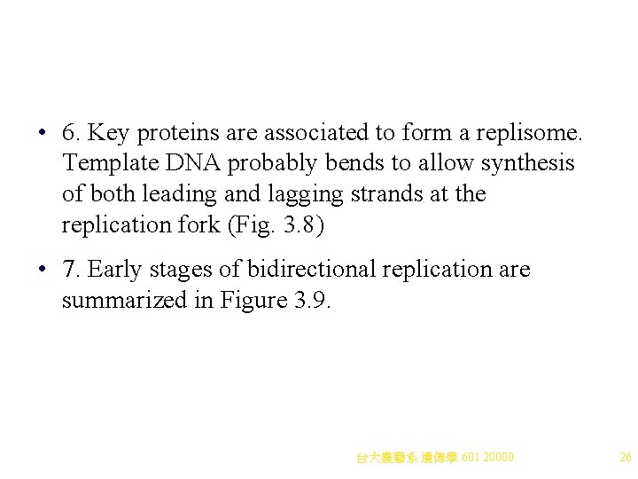 • 6. Key proteins are associated to form a replisome. Template DNA probably • 6. Key proteins are associated to form a replisome. Template DNA probably