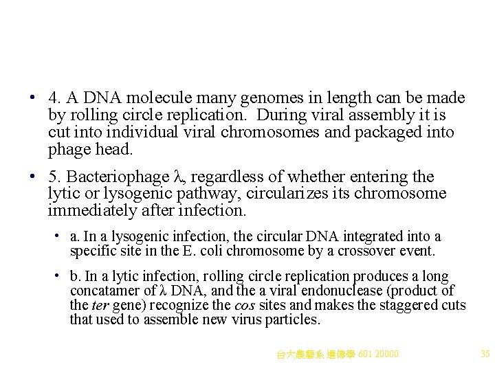• 4. A DNA molecule many genomes in length can be made by • 4. A DNA molecule many genomes in length can be made by