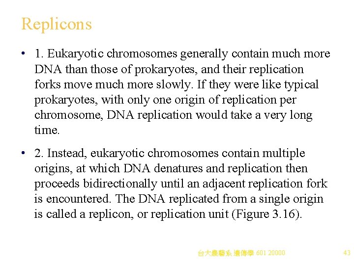 Replicons • 1. Eukaryotic chromosomes generally contain much more DNA than those of prokaryotes, Replicons • 1. Eukaryotic chromosomes generally contain much more DNA than those of prokaryotes,