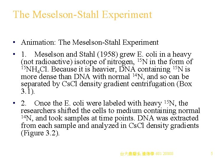 The Meselson-Stahl Experiment • Animation: The Meselson-Stahl Experiment • 1. Meselson and Stahl (1958) The Meselson-Stahl Experiment • Animation: The Meselson-Stahl Experiment • 1. Meselson and Stahl (1958)