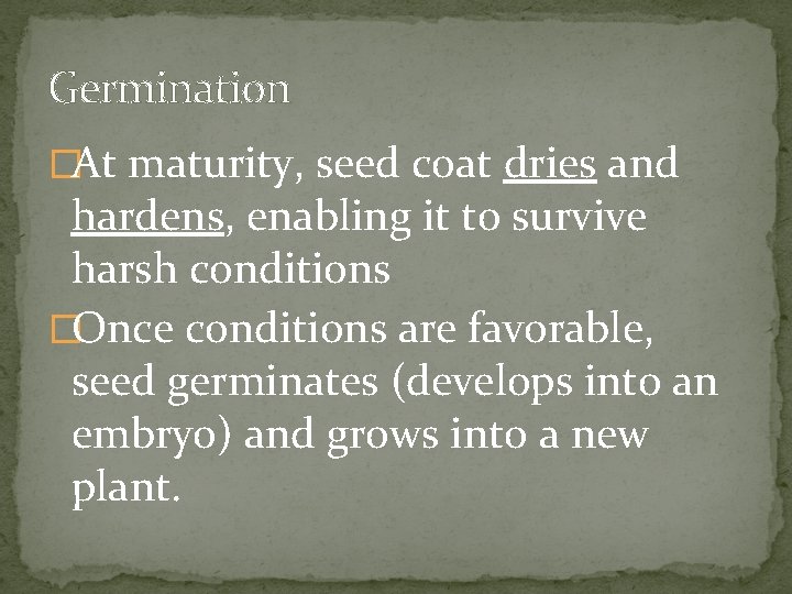 Germination �At maturity, seed coat dries and hardens, enabling it to survive harsh conditions