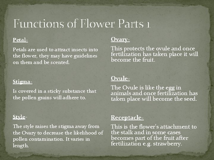 Functions of Flower Parts 1 Petal- Ovary- Petals are used to attract insects into