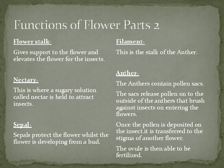 Functions of Flower Parts 2 Flower stalk- Filament- Gives support to the flower and