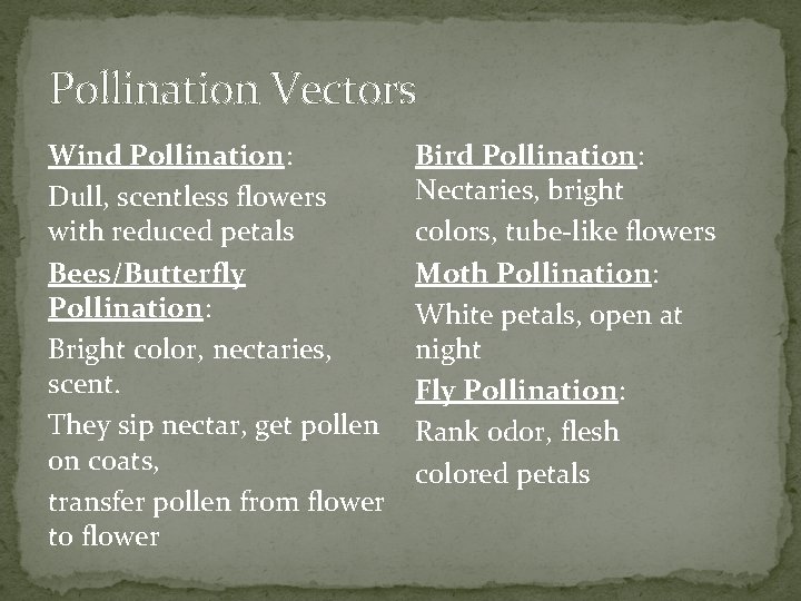 Pollination Vectors Wind Pollination: Dull, scentless flowers with reduced petals Bees/Butterfly Pollination: Bright color,