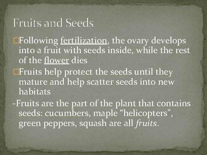 Fruits and Seeds �Following fertilization, the ovary develops into a fruit with seeds inside,
