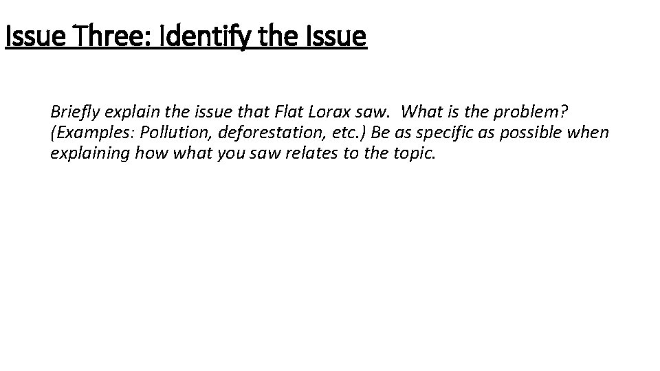 Issue Three: Identify the Issue Briefly explain the issue that Flat Lorax saw. What