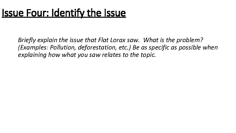 Issue Four: Identify the Issue Briefly explain the issue that Flat Lorax saw. What