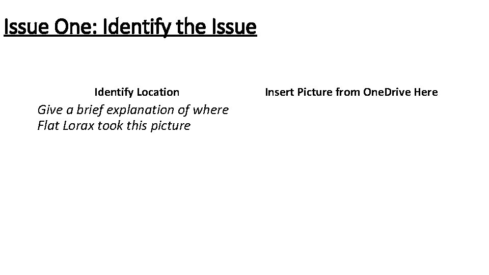 Issue One: Identify the Issue Identify Location Give a brief explanation of where Flat