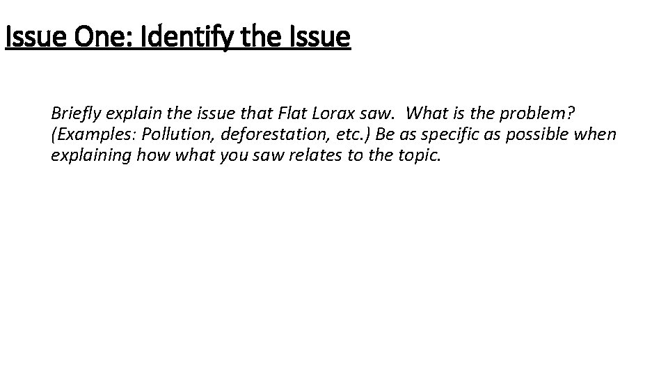 Issue One: Identify the Issue Briefly explain the issue that Flat Lorax saw. What
