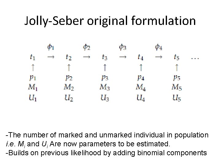 Jolly-Seber original formulation -The number of marked and unmarked individual in population i. e.
