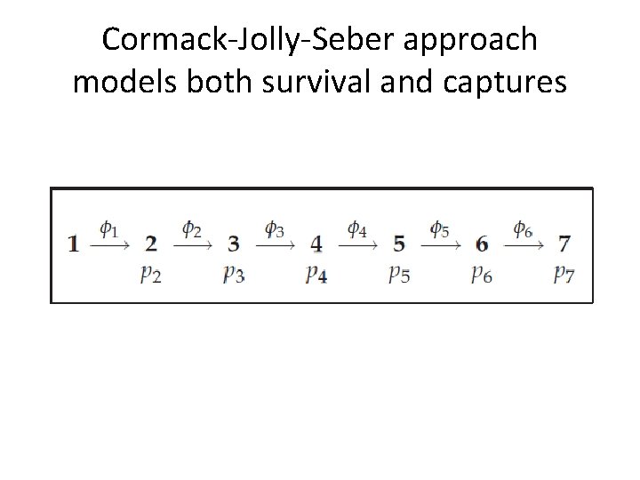 Cormack-Jolly-Seber approach models both survival and captures 