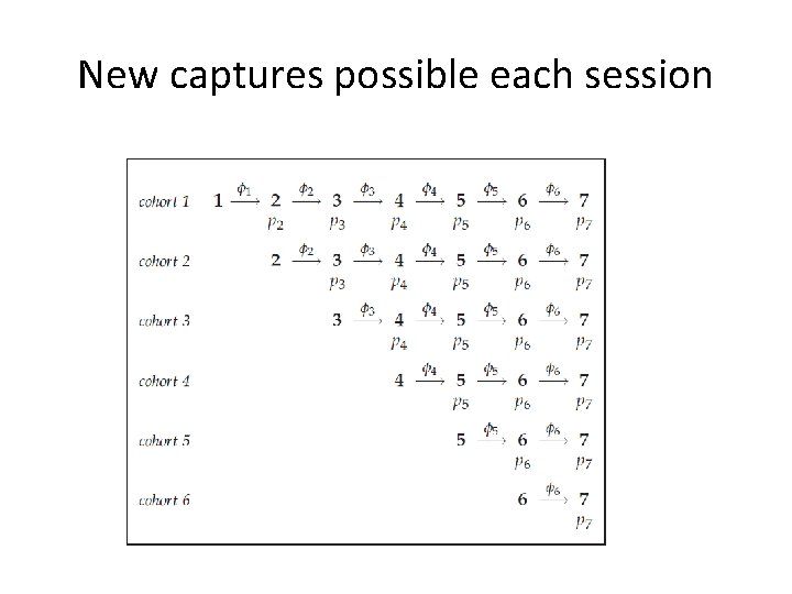 New captures possible each session 