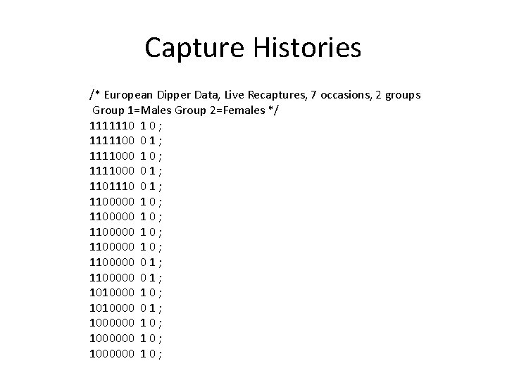 Capture Histories /* European Dipper Data, Live Recaptures, 7 occasions, 2 groups Group 1=Males